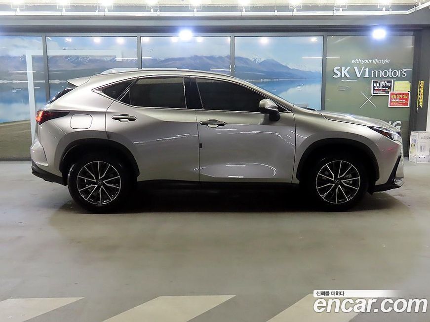 Lexus NX 2022