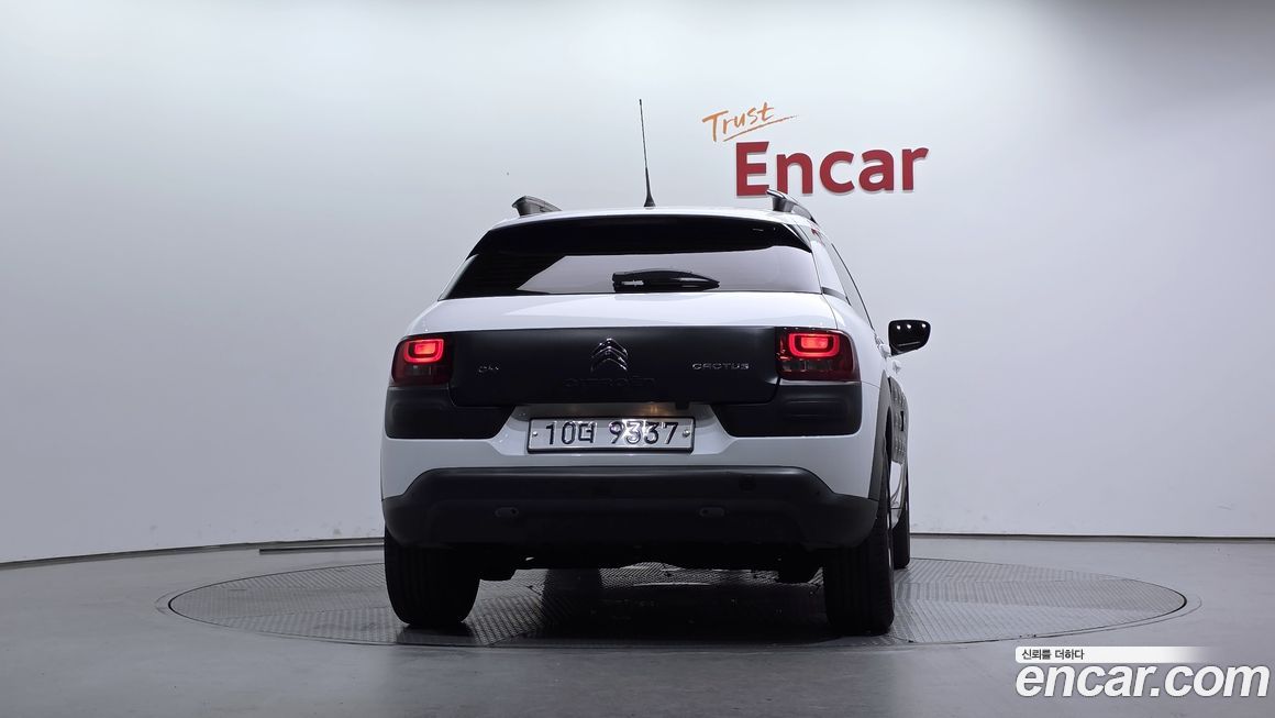Citroen-DS C4 CACTUS 2017