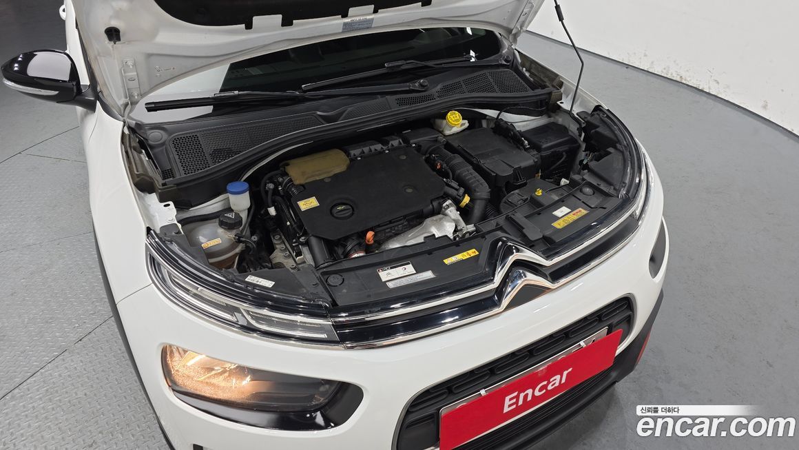 Citroen-DS C4 CACTUS 2019