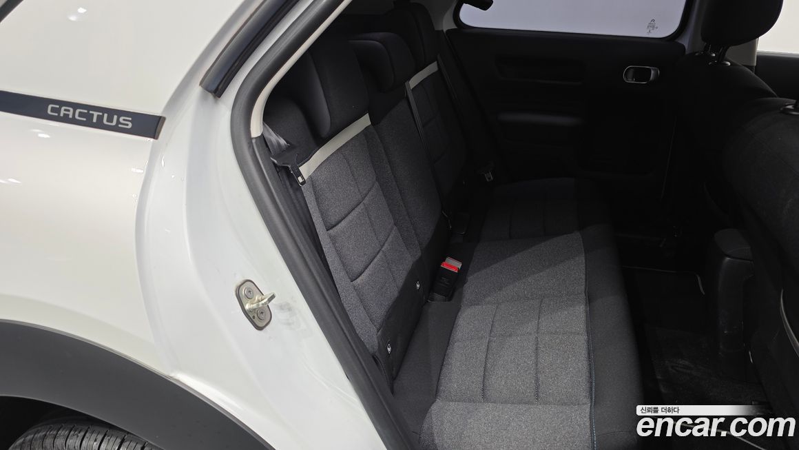 Citroen-DS C4 CACTUS 2019