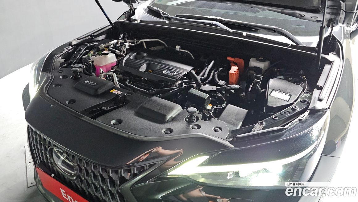 Lexus NX 2024