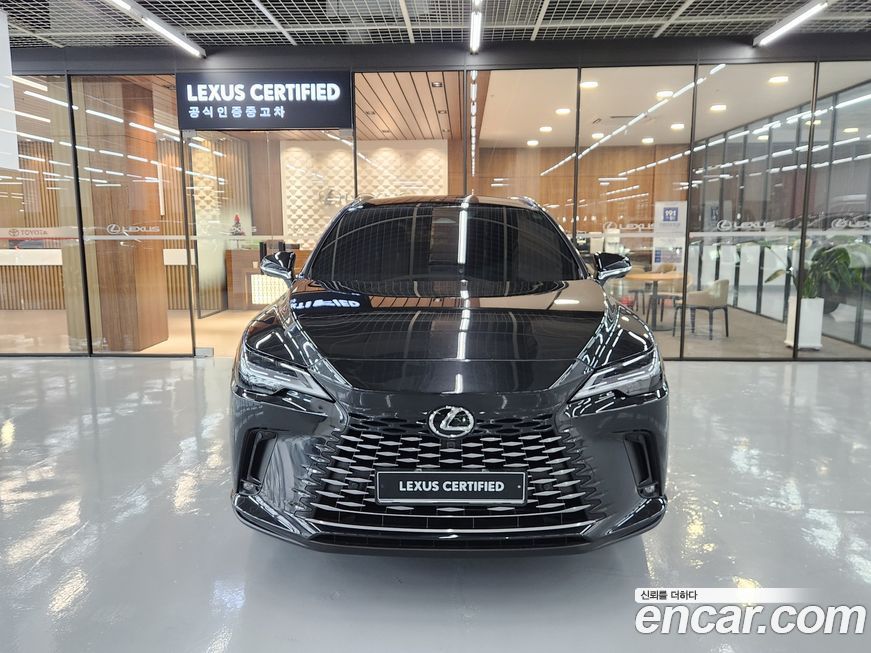 Lexus RX 2025
