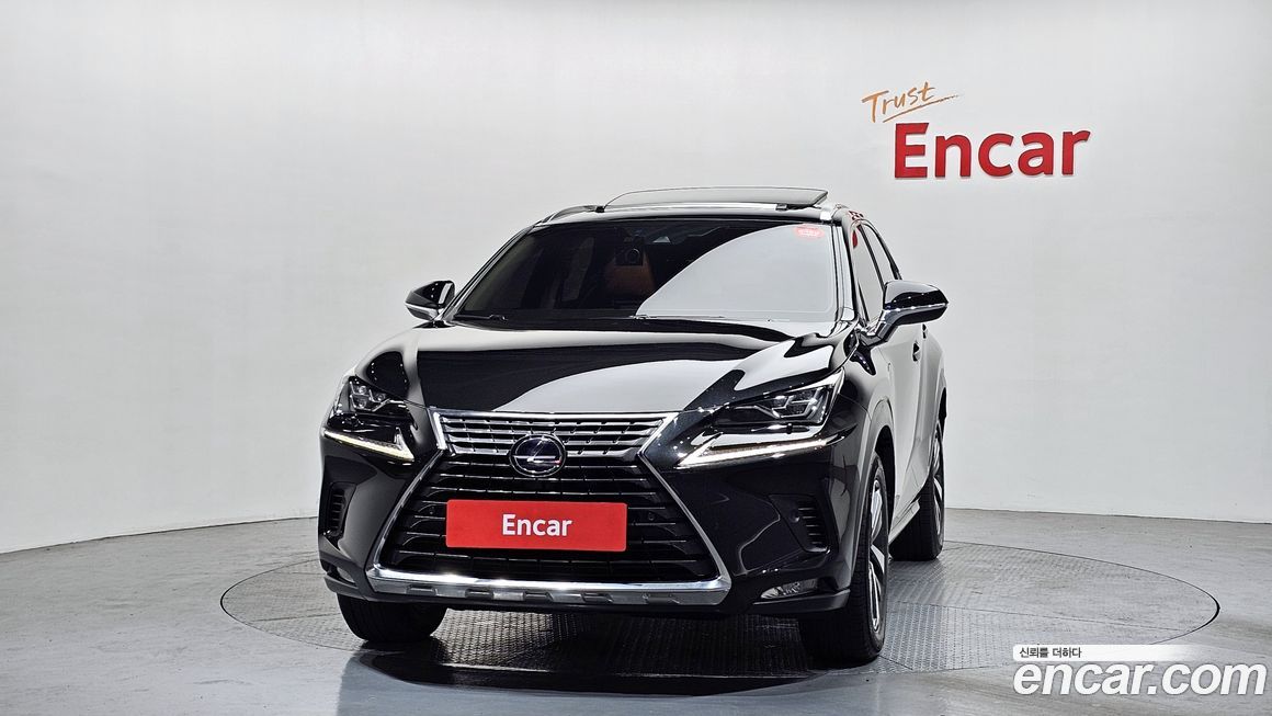 Lexus NX 2020