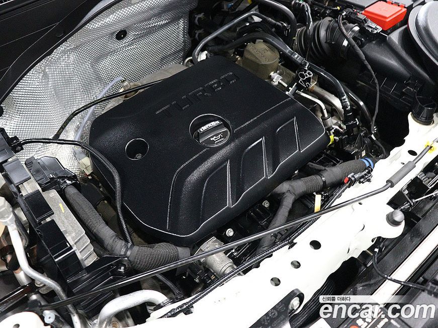 ChevroletGMDaewoo Trailblazer 2021