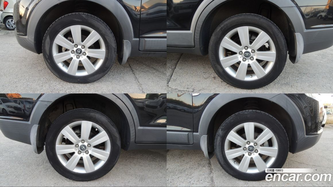 ChevroletGMDaewoo Winstorm 2010