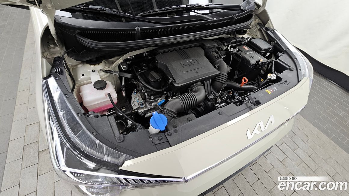 Kia morning 2025