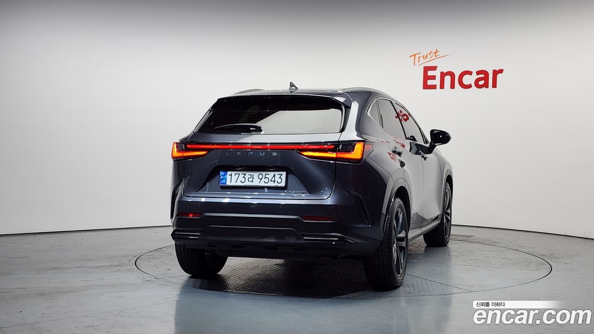 Lexus NX 2024