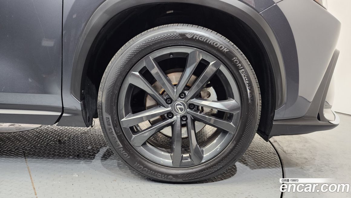 Lexus NX 2024