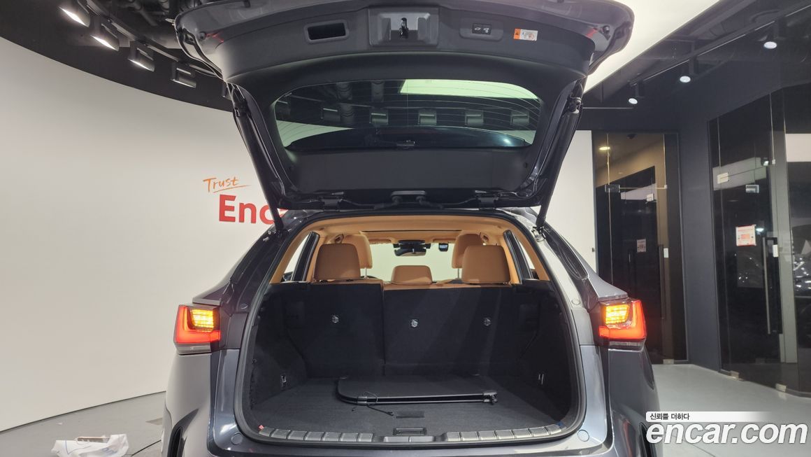 Lexus NX 2024