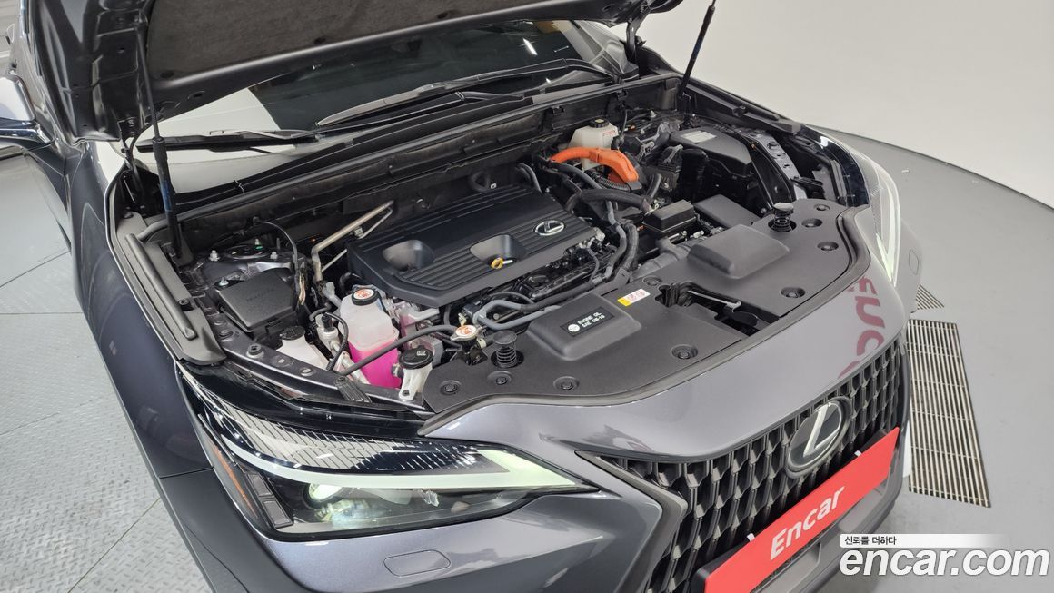 Lexus NX 2024