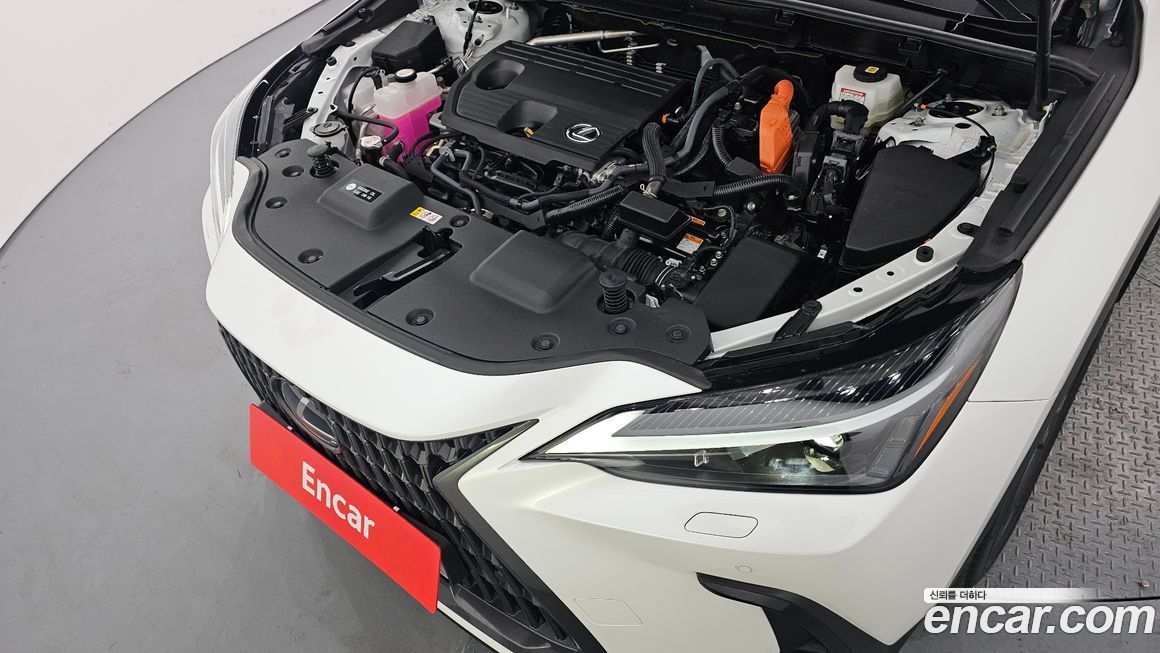 Lexus NX 2025