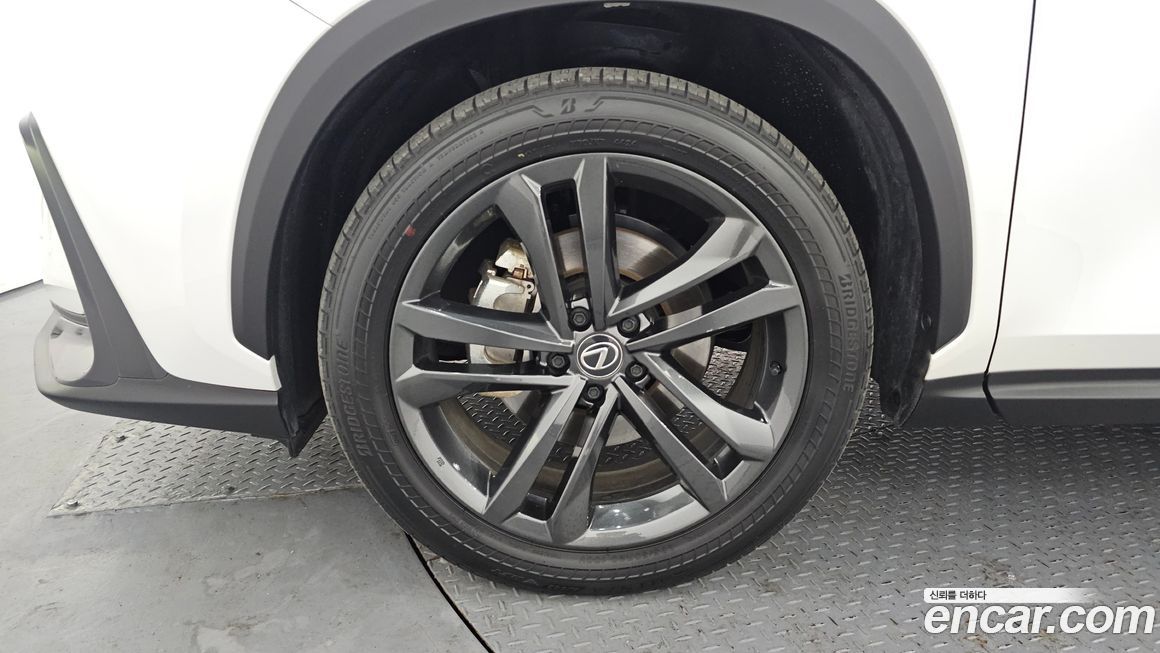 Lexus NX 2025