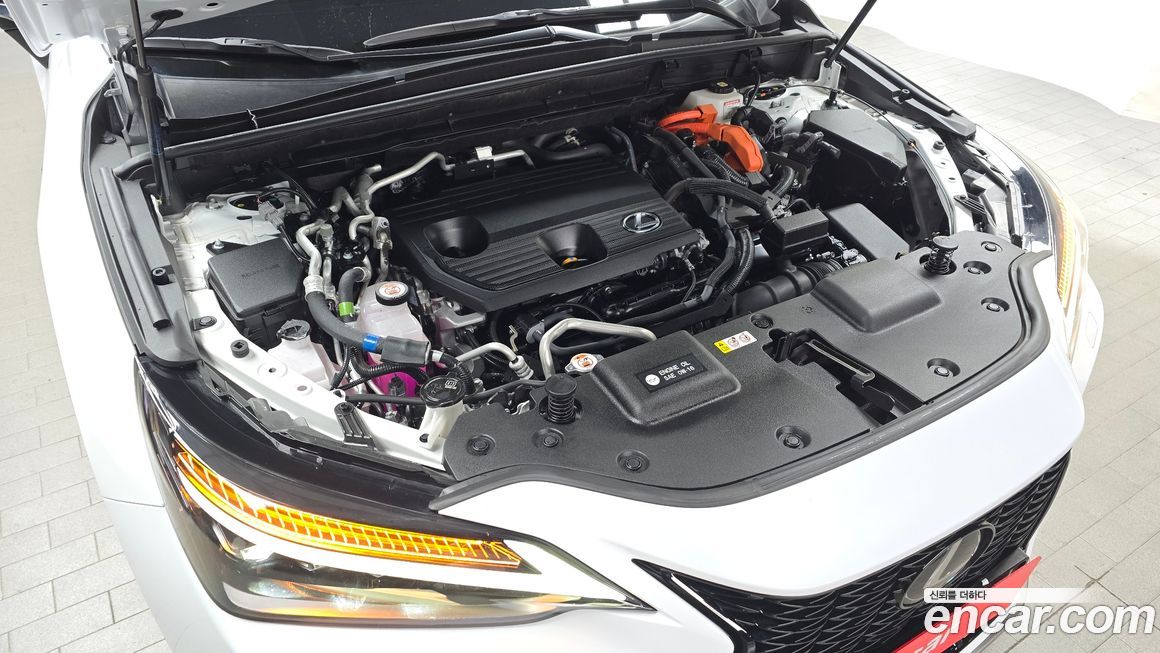 Lexus NX 2025
