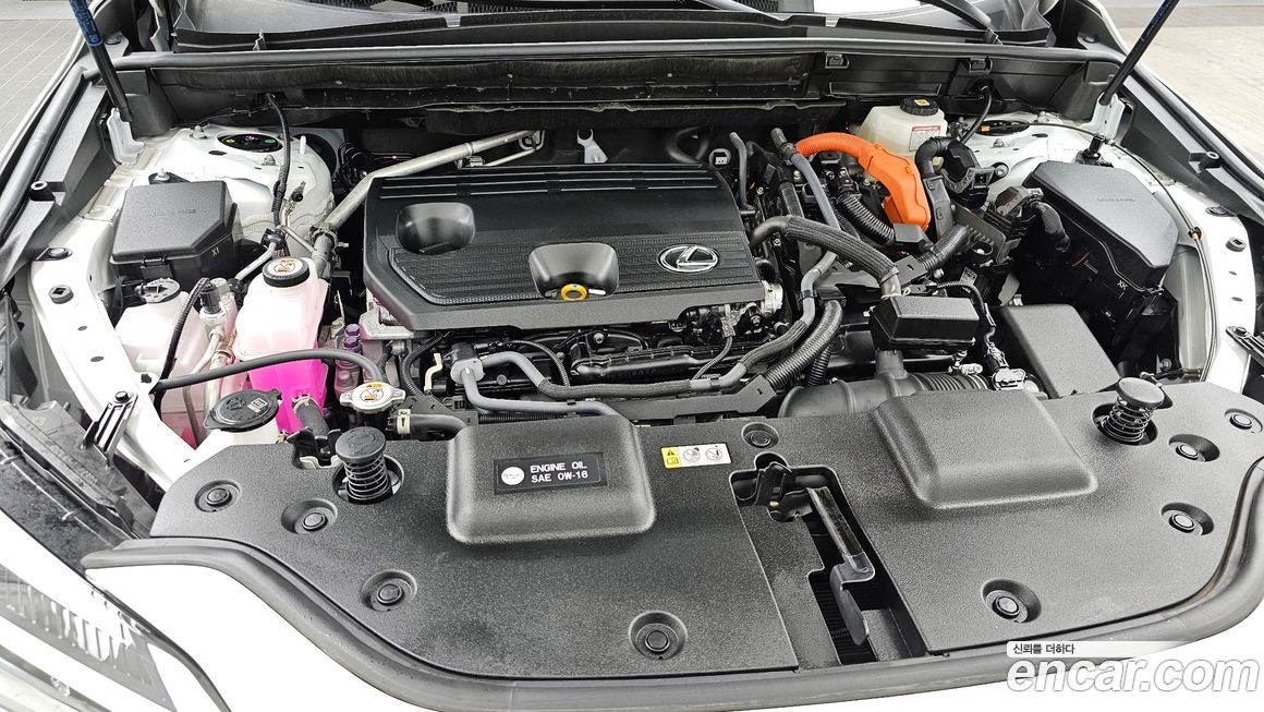 Lexus NX 2025