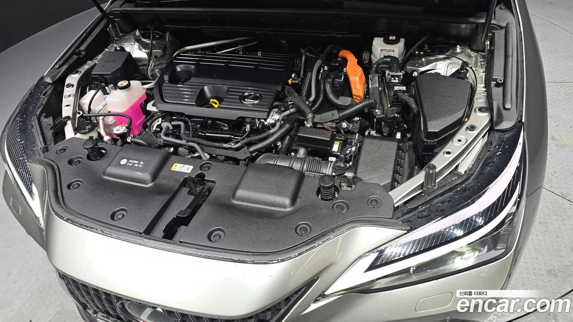 Lexus NX 2023