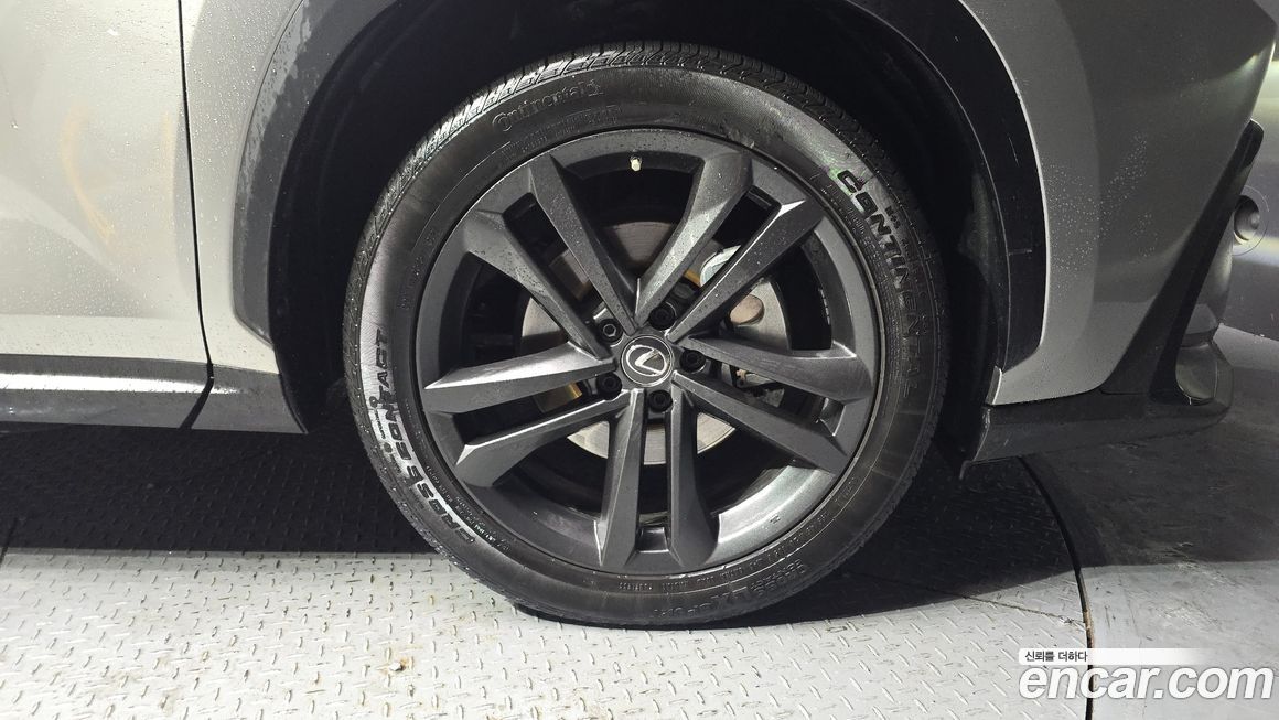 Lexus NX 2023