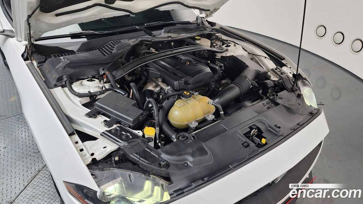 Ford Mustang 2019