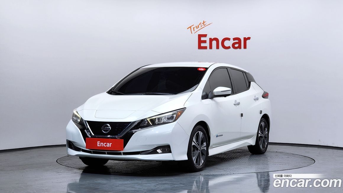 Nissan Leaf 2019