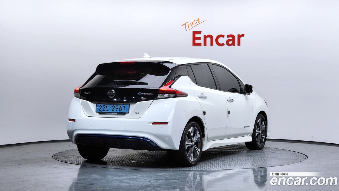 Nissan Leaf 2019