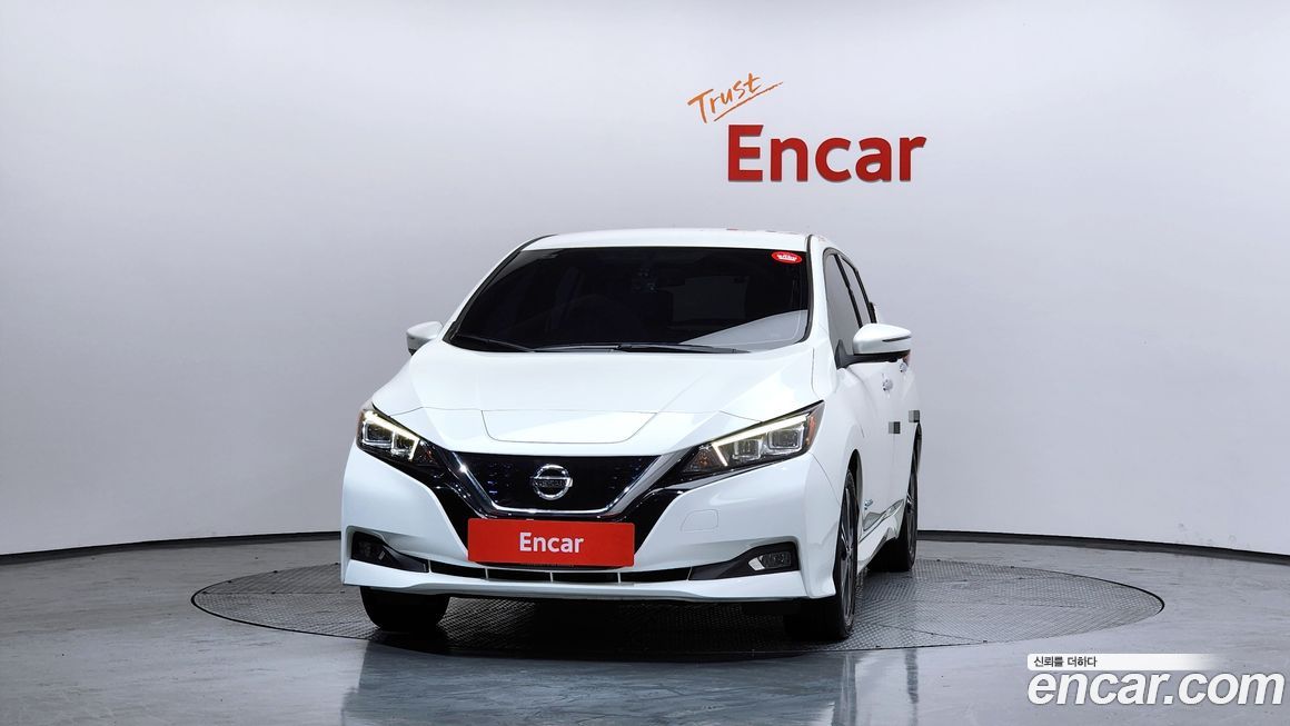 Nissan Leaf 2019