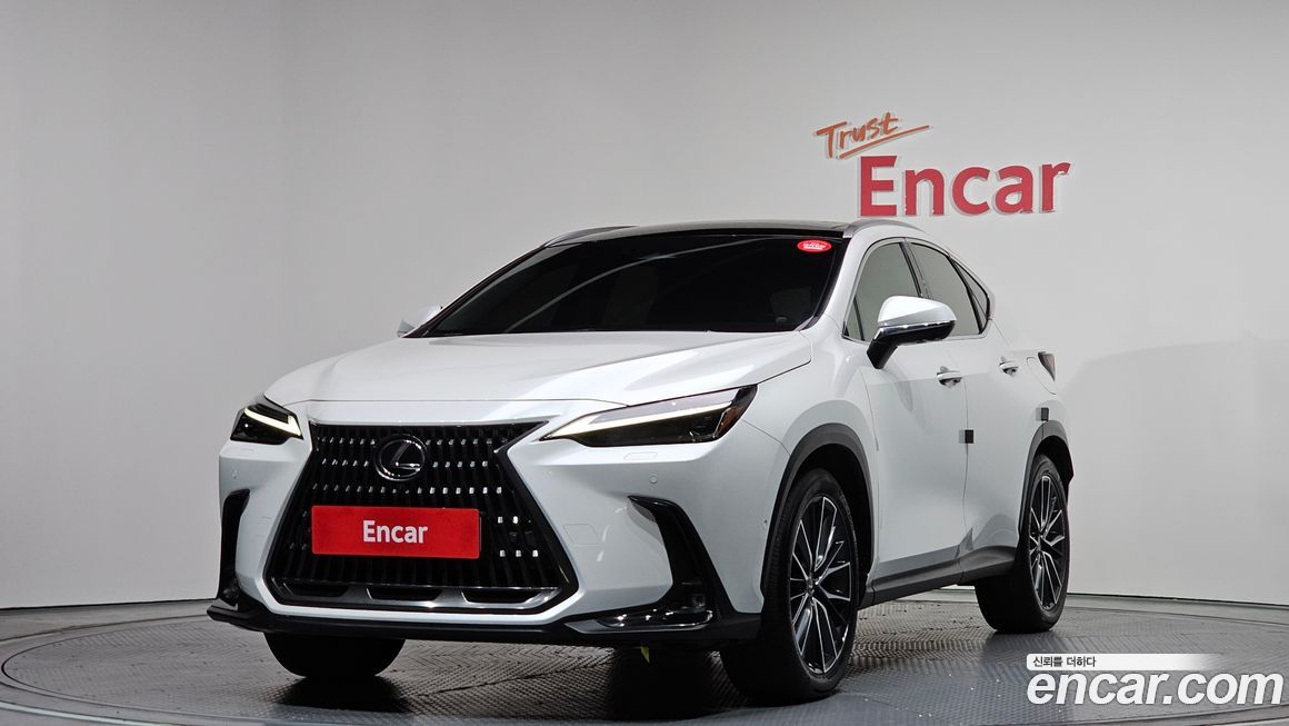 Lexus NX 2024