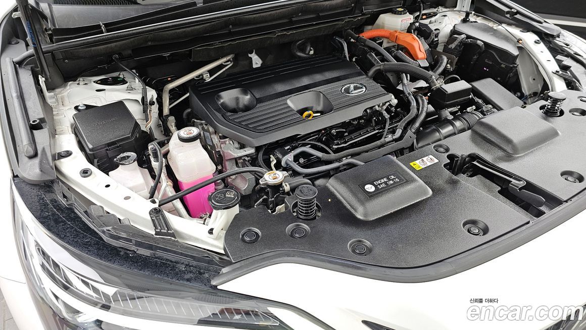Lexus NX 2024