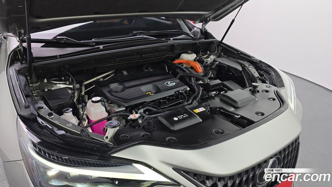 Lexus NX 2024
