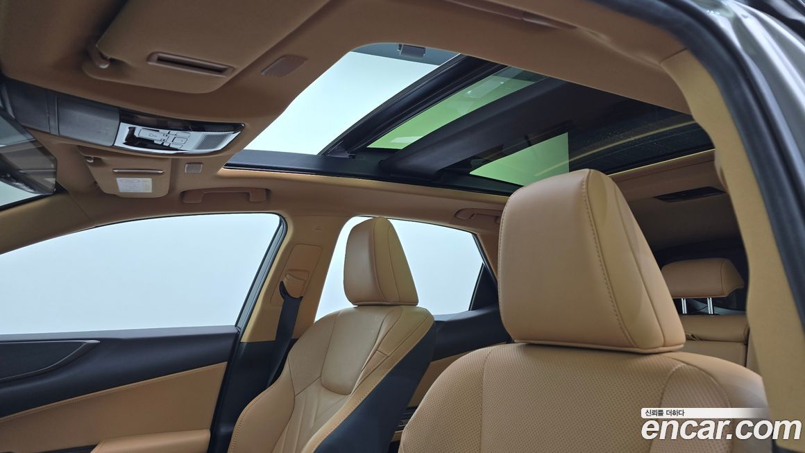 Lexus NX 2024