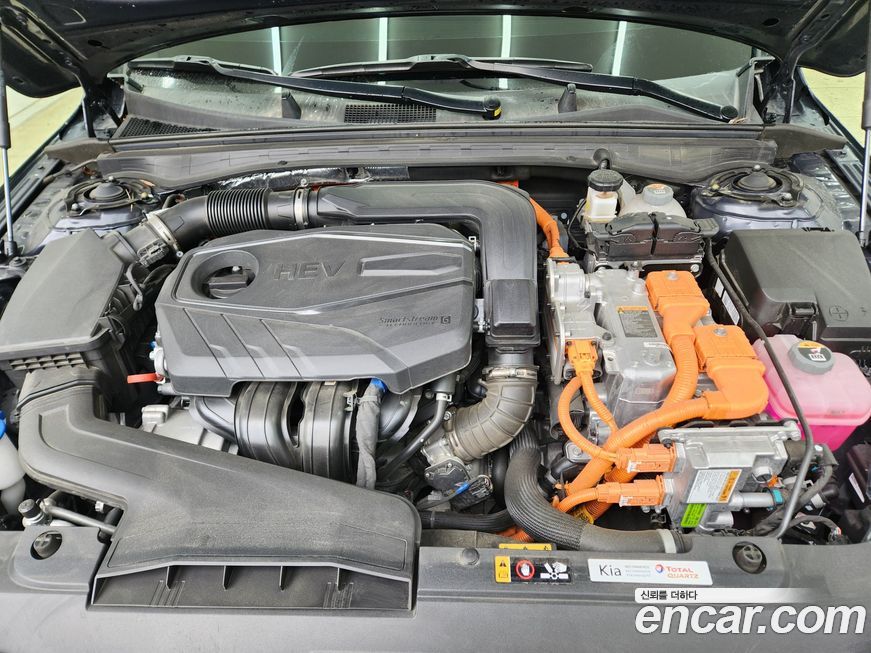 Kia K5 2024