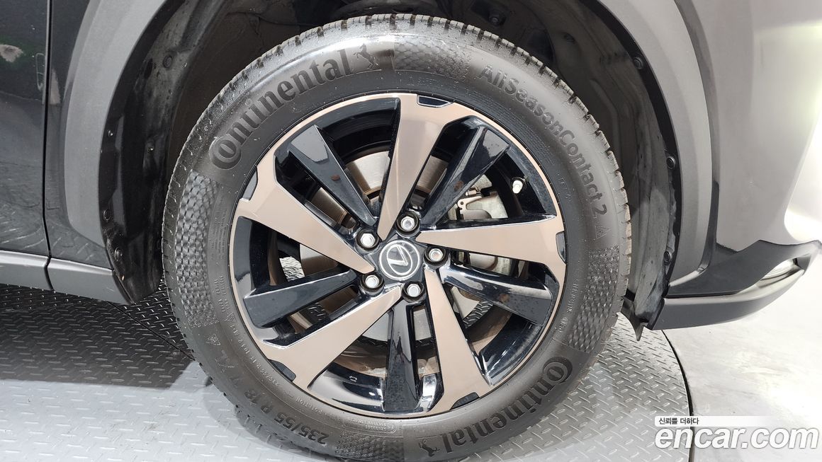 Lexus NX 2020