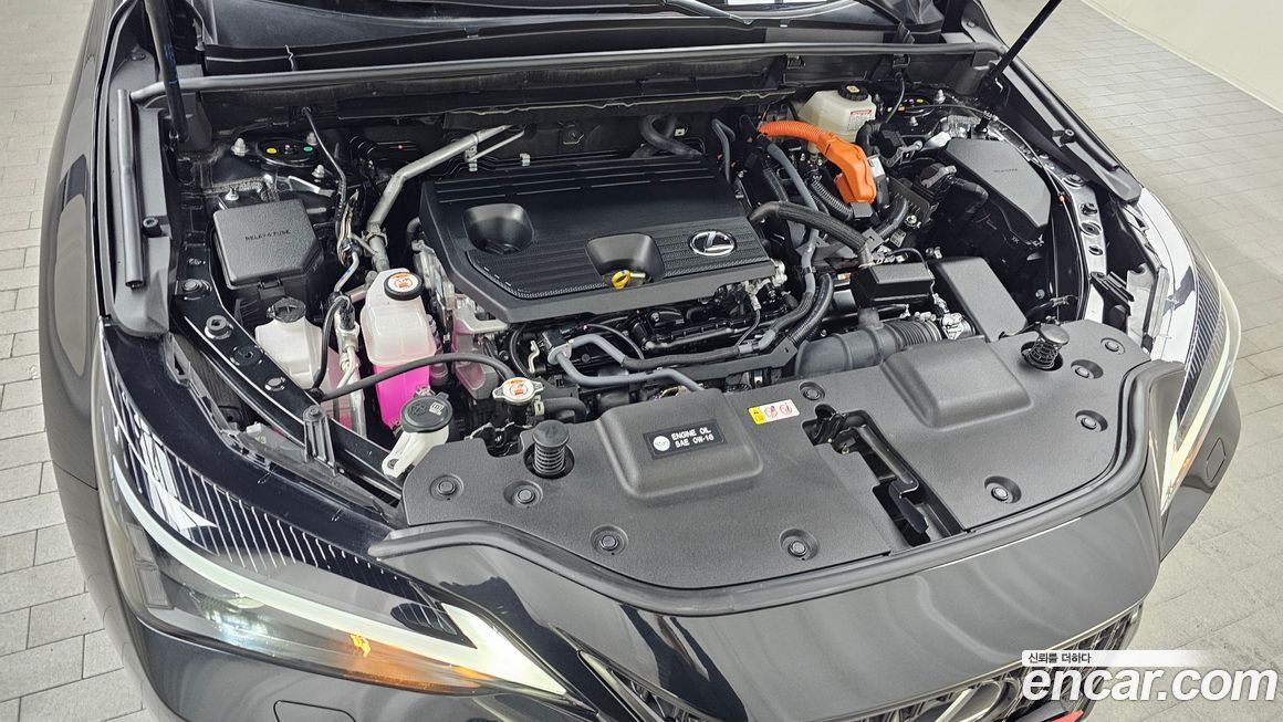 Lexus NX 2025
