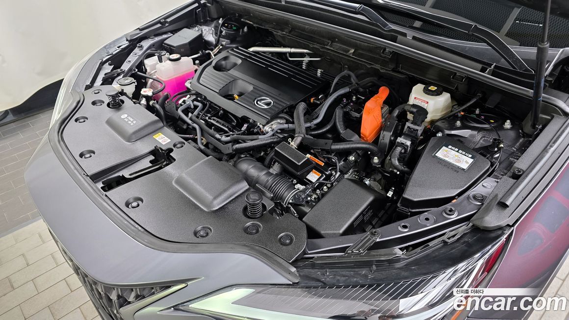 Lexus NX 2025