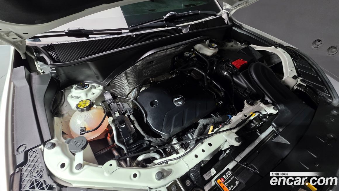 ChevroletGMDaewoo Trailblazer 2021