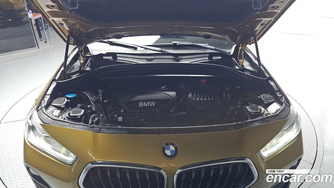BMW X2 (F39) 2019