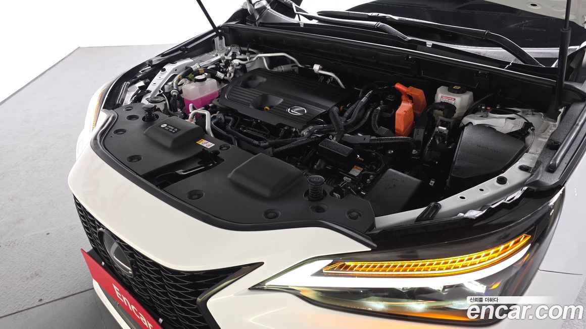 Lexus NX 2024