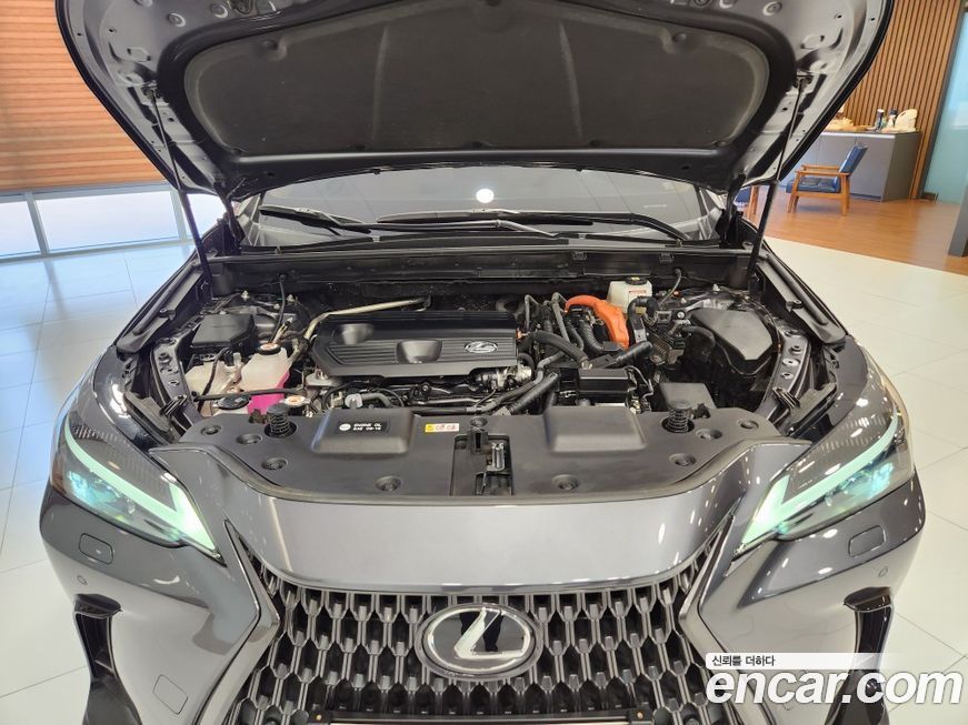 Lexus NX 2023