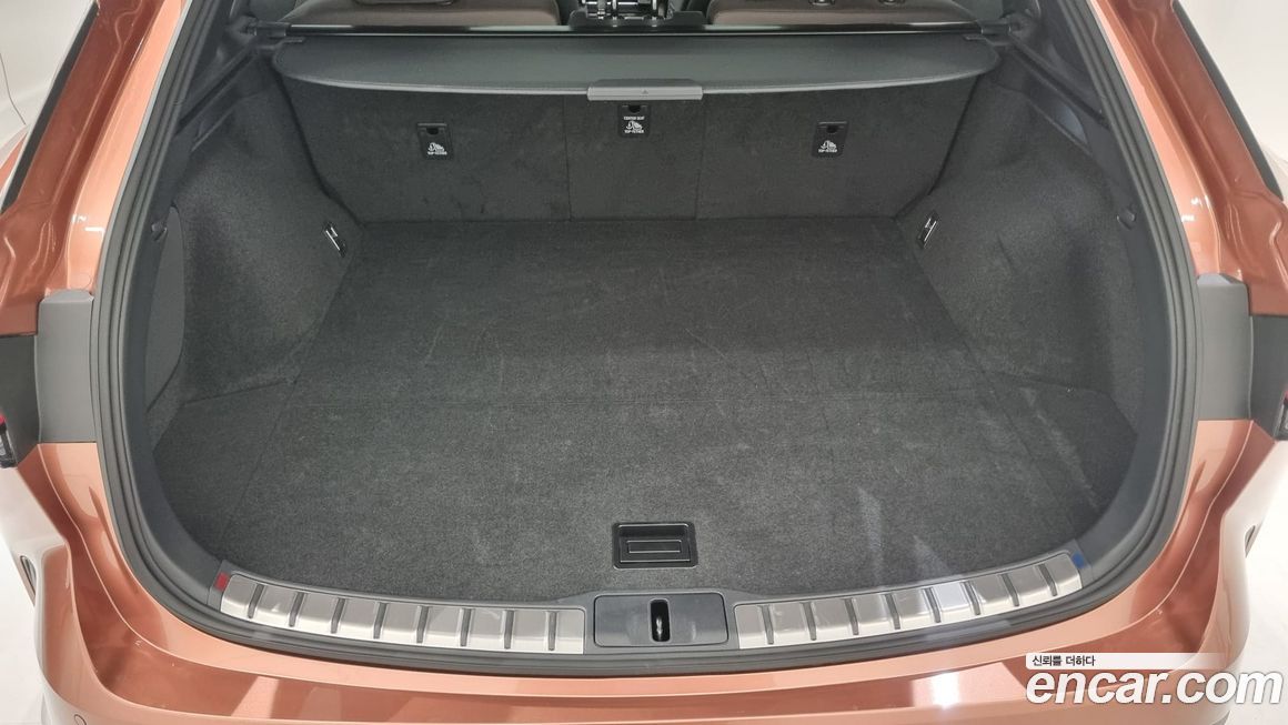 Lexus RX 2025