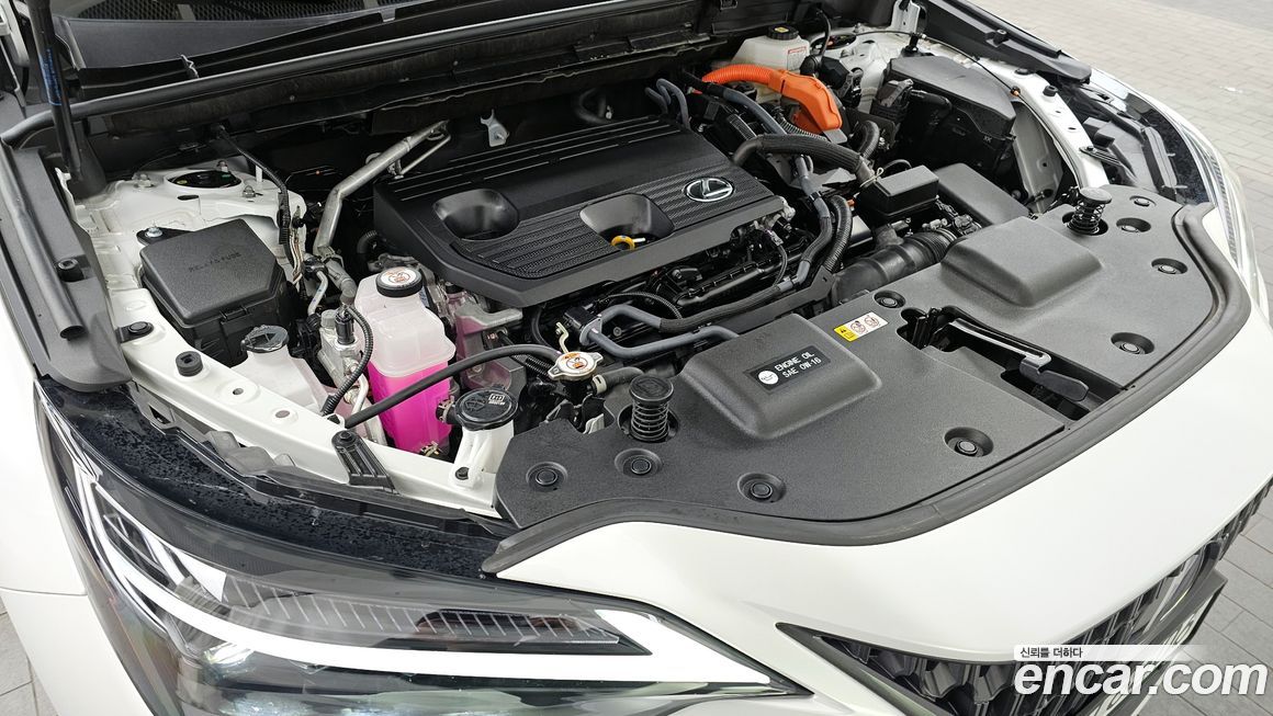 Lexus NX 2025