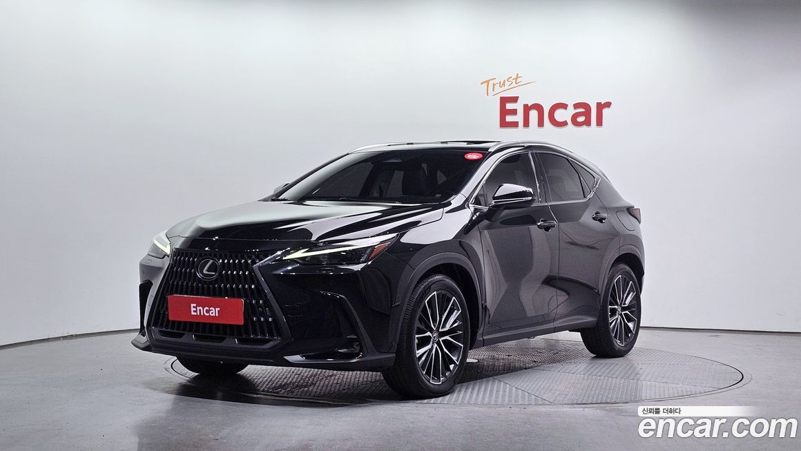 Lexus NX 2022