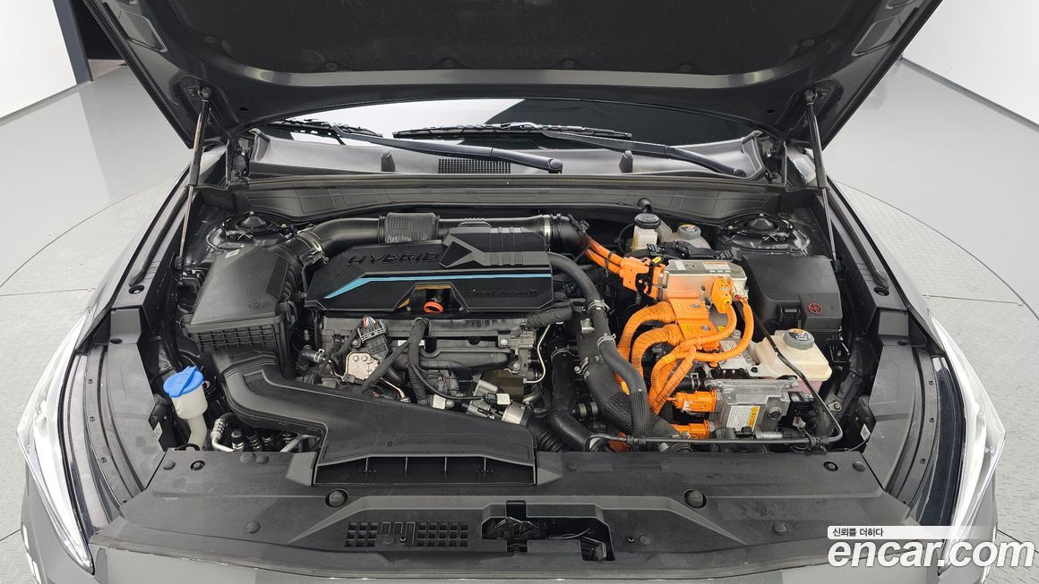 Kia K8 2022