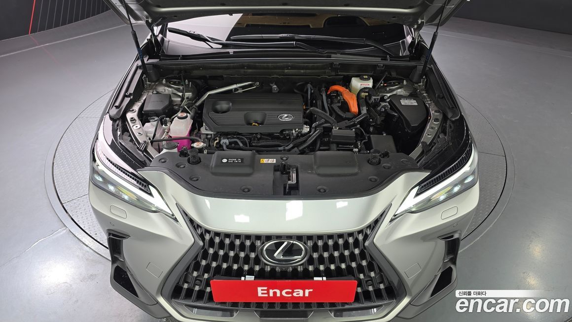 Lexus NX 2025