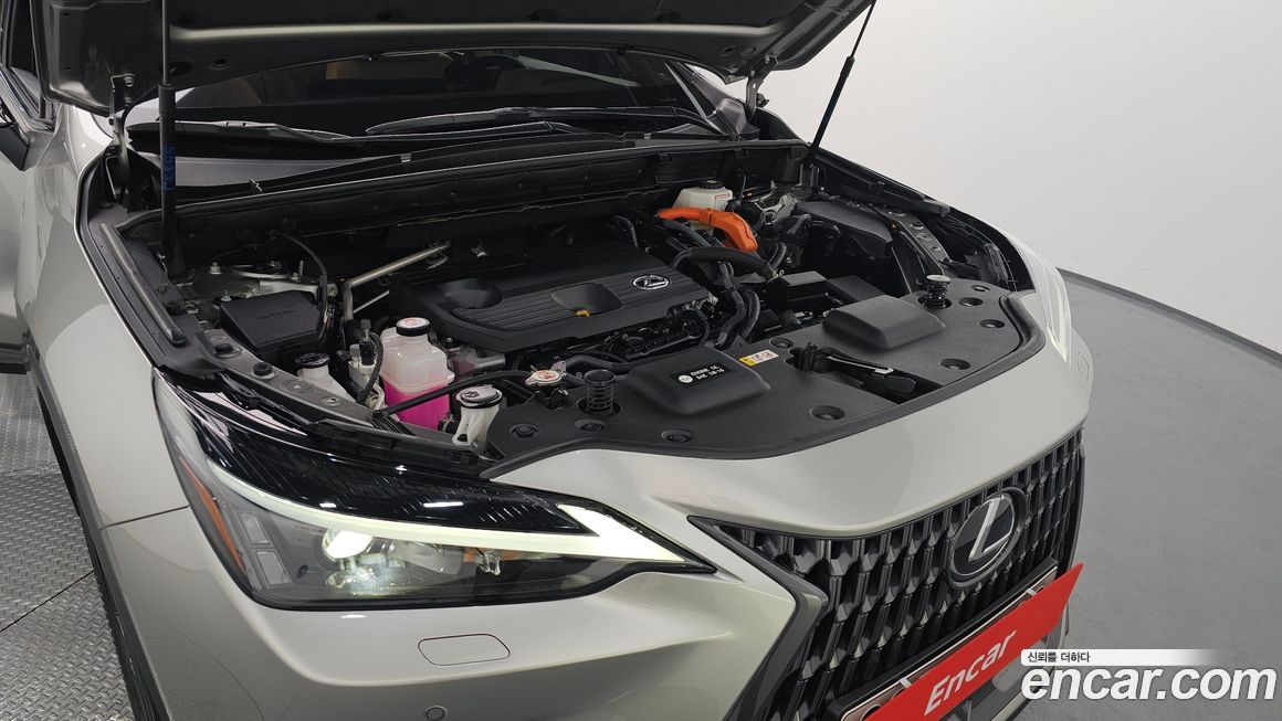 Lexus NX 2023