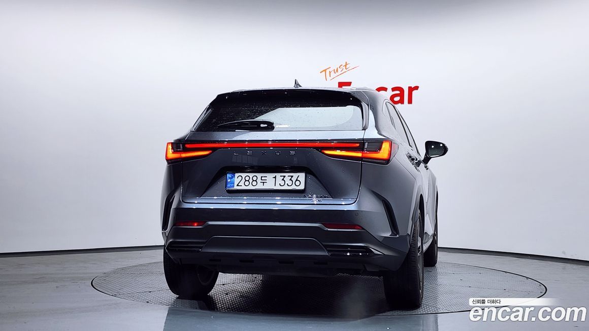 Lexus NX 2024