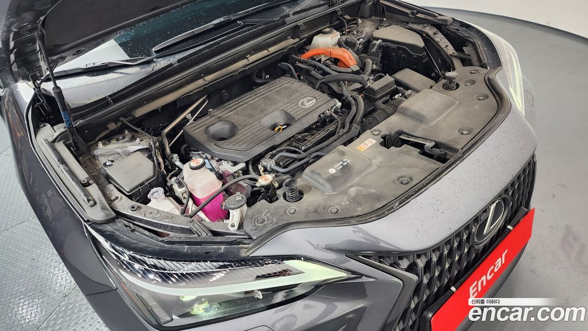 Lexus NX 2024
