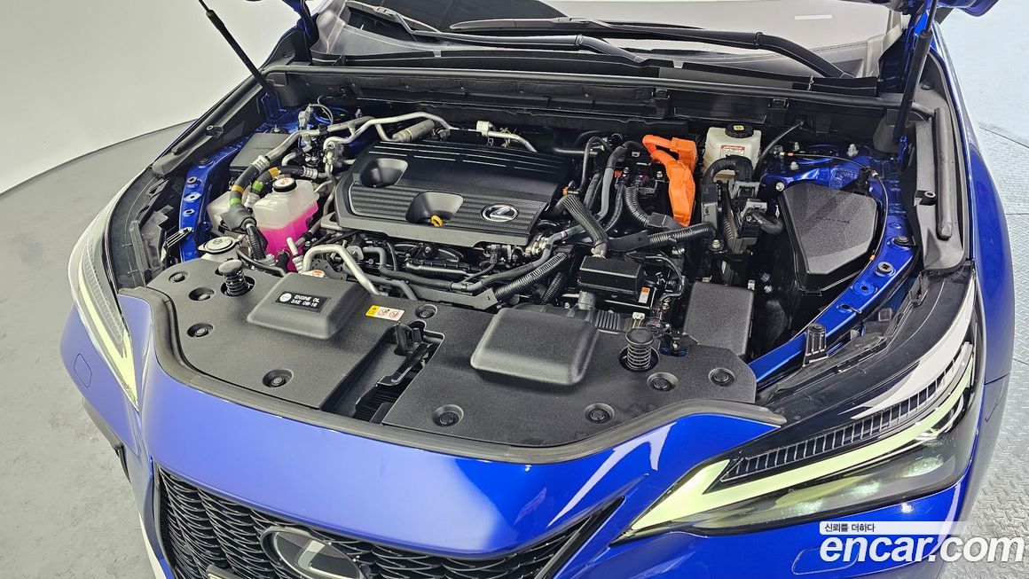 Lexus NX 2022