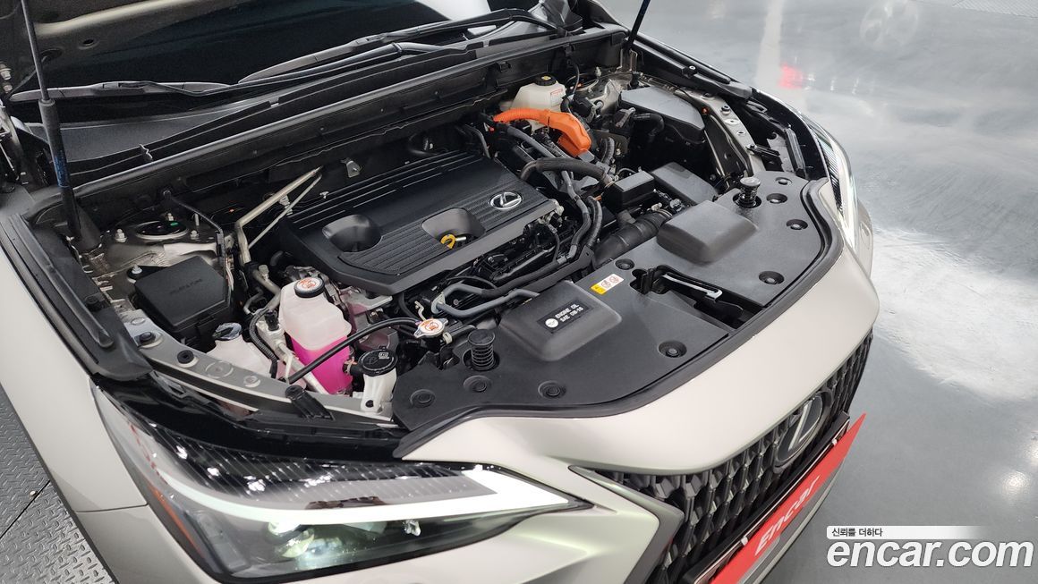 Lexus NX 2023