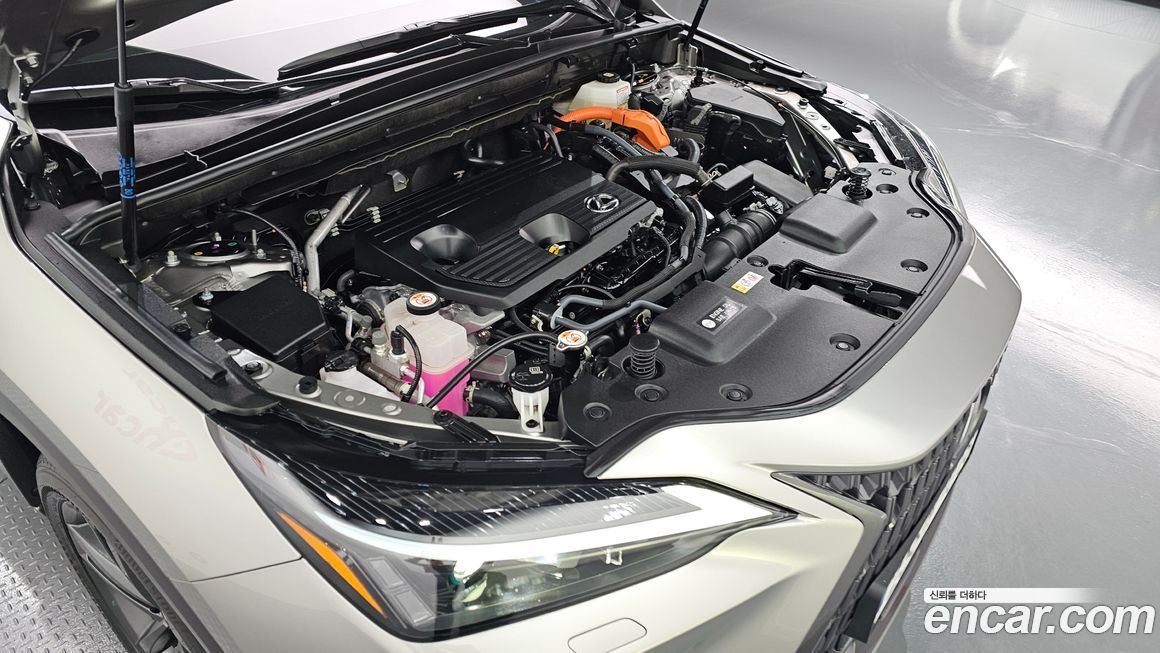 Lexus NX 2025