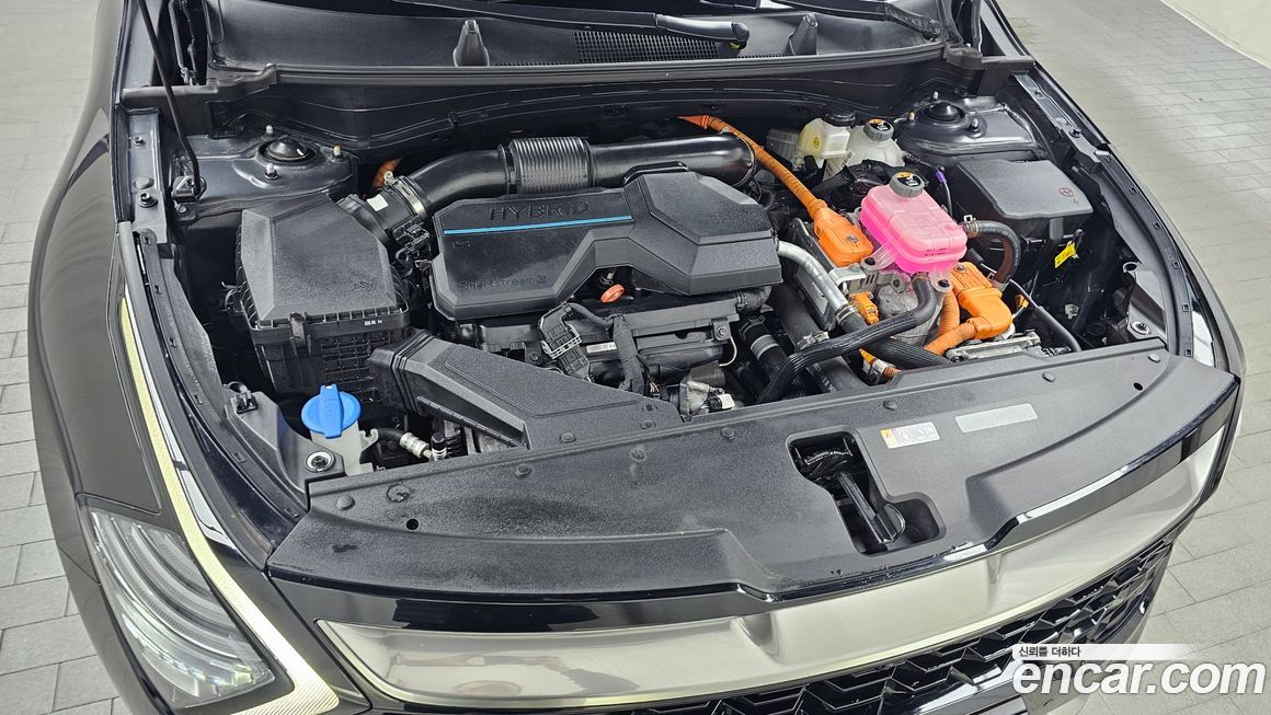Kia Sportage 2024
