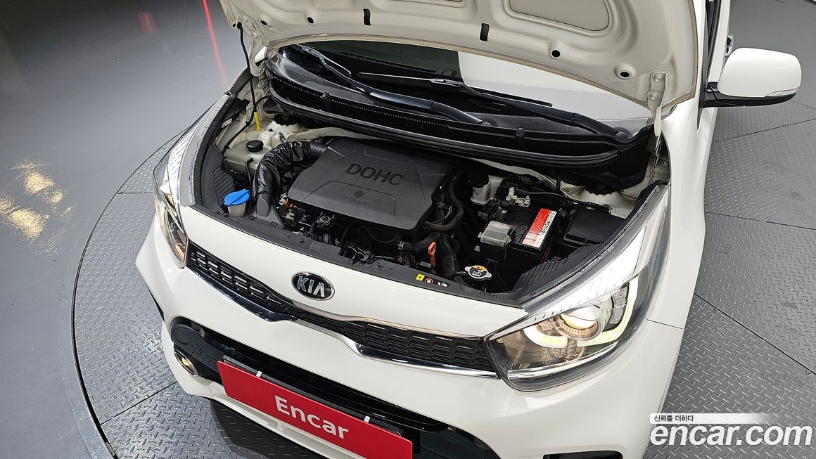Kia morning 2019