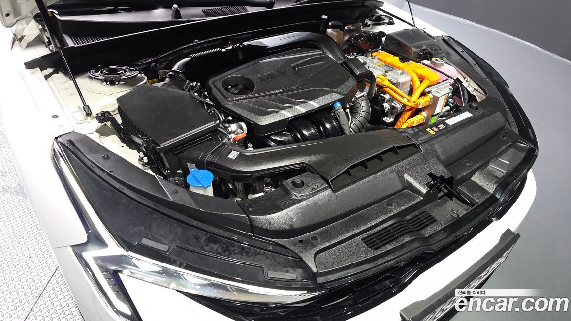 Kia K5 2024